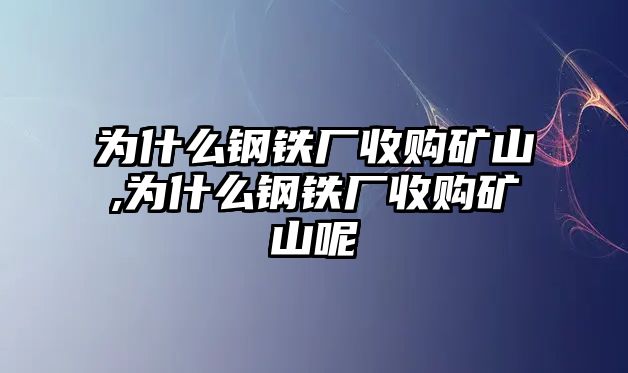 為什么鋼鐵廠收購(gòu)礦山,為什么鋼鐵廠收購(gòu)礦山呢