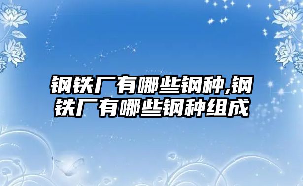 鋼鐵廠有哪些鋼種,鋼鐵廠有哪些鋼種組成