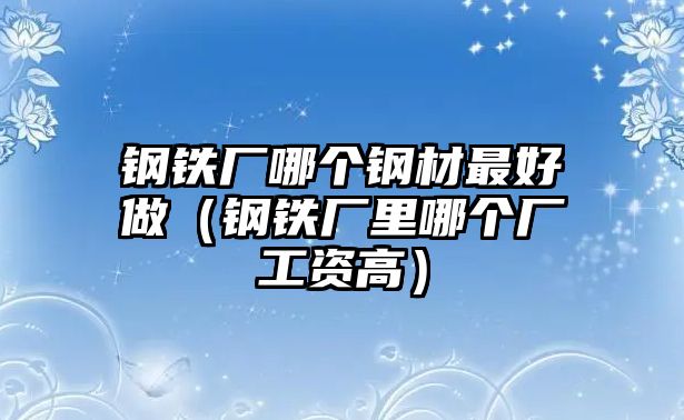 鋼鐵廠哪個鋼材最好做（鋼鐵廠里哪個廠工資高）