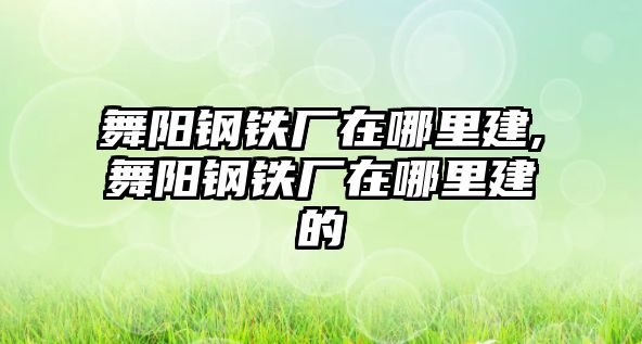 舞陽(yáng)鋼鐵廠在哪里建,舞陽(yáng)鋼鐵廠在哪里建的