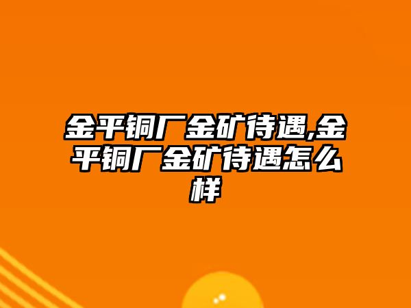 金平銅廠金礦待遇,金平銅廠金礦待遇怎么樣