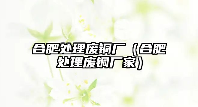 合肥處理廢銅廠（合肥處理廢銅廠家）