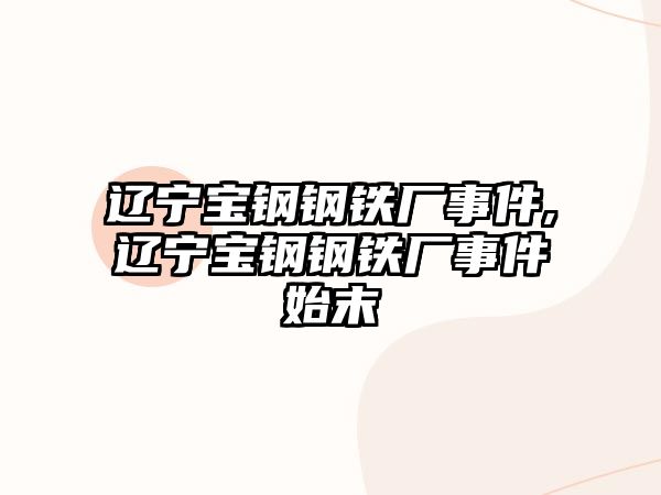 遼寧寶鋼鋼鐵廠事件,遼寧寶鋼鋼鐵廠事件始末