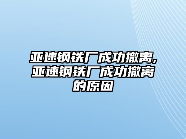 亞速鋼鐵廠成功撤離,亞速鋼鐵廠成功撤離的原因