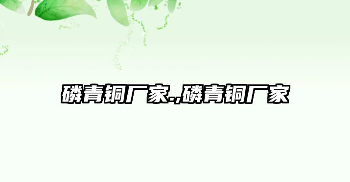 磷青銅廠家.,磷青銅廠家