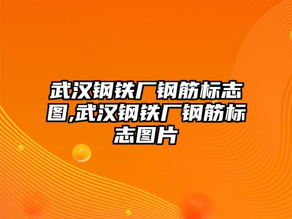 武漢鋼鐵廠鋼筋標(biāo)志圖,武漢鋼鐵廠鋼筋標(biāo)志圖片