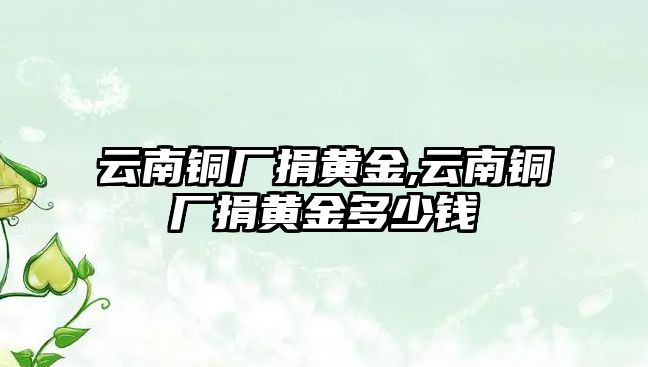 云南銅廠捐黃金,云南銅廠捐黃金多少錢(qián)