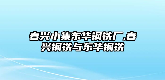 春興小集東華鋼鐵廠,春興鋼鐵與東華鋼鐵