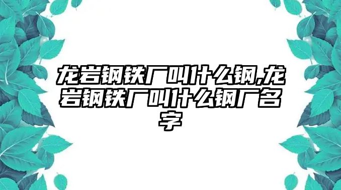 龍巖鋼鐵廠叫什么鋼,龍巖鋼鐵廠叫什么鋼廠名字