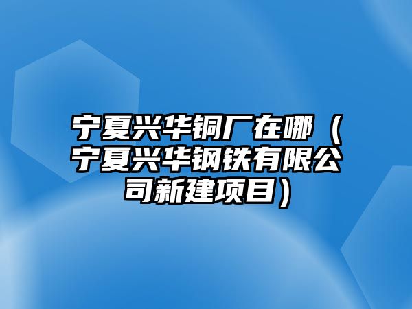 寧夏興華銅廠在哪（寧夏興華鋼鐵有限公司新建項目）