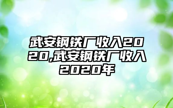 武安鋼鐵廠收入2020,武安鋼鐵廠收入2020年