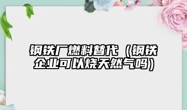 鋼鐵廠燃料替代（鋼鐵企業(yè)可以燒天然氣嗎）