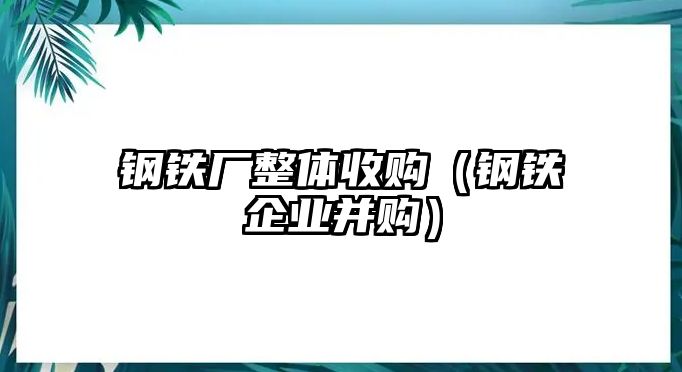 鋼鐵廠整體收購(gòu)（鋼鐵企業(yè)并購(gòu)）