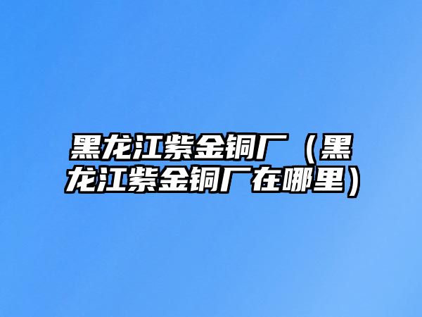 黑龍江紫金銅廠（黑龍江紫金銅廠在哪里）