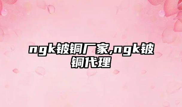 ngk鈹銅廠家,ngk鈹銅代理