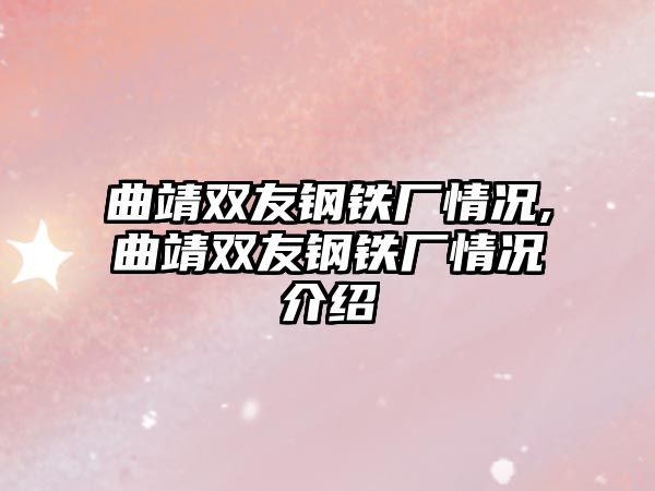 曲靖雙友鋼鐵廠情況,曲靖雙友鋼鐵廠情況介紹