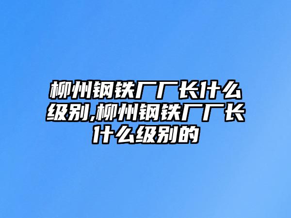 柳州鋼鐵廠廠長什么級別,柳州鋼鐵廠廠長什么級別的