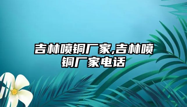 吉林噴銅廠家,吉林噴銅廠家電話