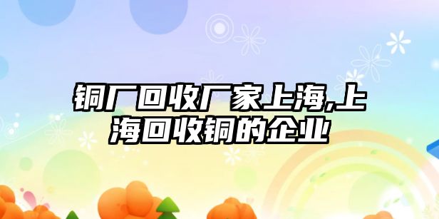 銅廠回收廠家上海,上海回收銅的企業(yè)