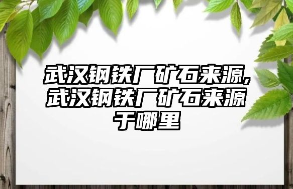 武漢鋼鐵廠礦石來源,武漢鋼鐵廠礦石來源于哪里