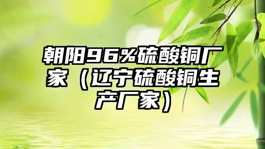 朝陽96%硫酸銅廠家（遼寧硫酸銅生產(chǎn)廠家）