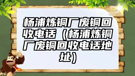 楊浦煉銅廠廢銅回收電話（楊浦煉銅廠廢銅回收電話地址）