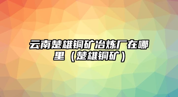 云南楚雄銅礦冶煉廠在哪里（楚雄銅礦）