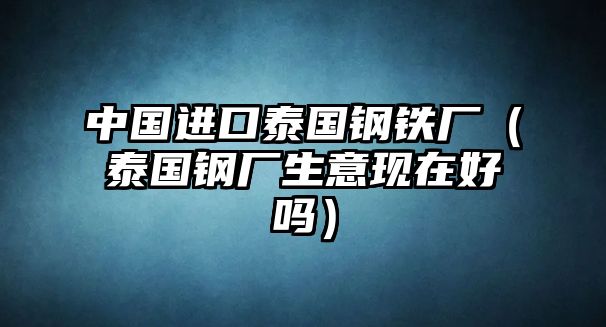 中國進(jìn)口泰國鋼鐵廠（泰國鋼廠生意現(xiàn)在好嗎）