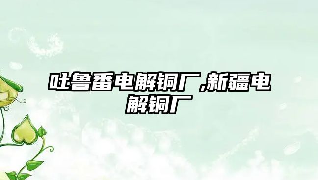 吐魯番電解銅廠,新疆電解銅廠