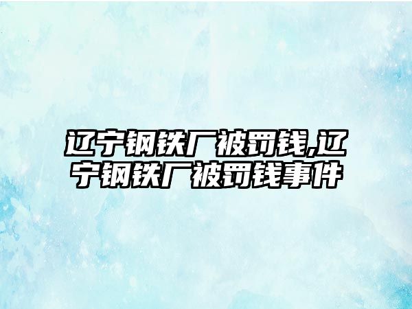 遼寧鋼鐵廠被罰錢,遼寧鋼鐵廠被罰錢事件