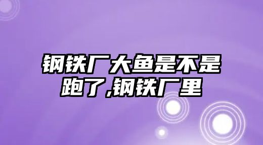 鋼鐵廠大魚是不是跑了,鋼鐵廠里