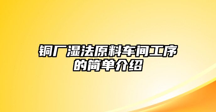 銅廠濕法原料車間工序的簡單介紹