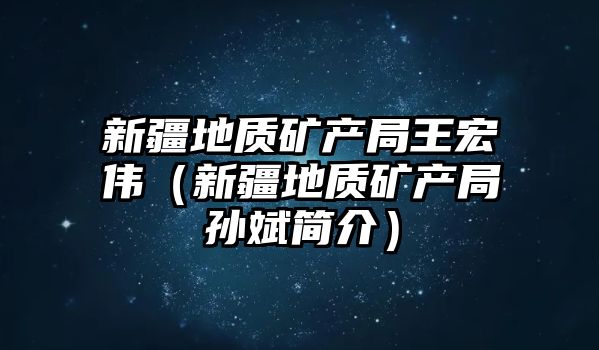 新疆地質礦產局王宏偉（新疆地質礦產局孫斌簡介）