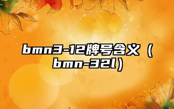 bmn3-12牌號(hào)含義（bmn-32l）