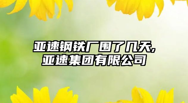 亞速鋼鐵廠圍了幾天,亞速集團有限公司