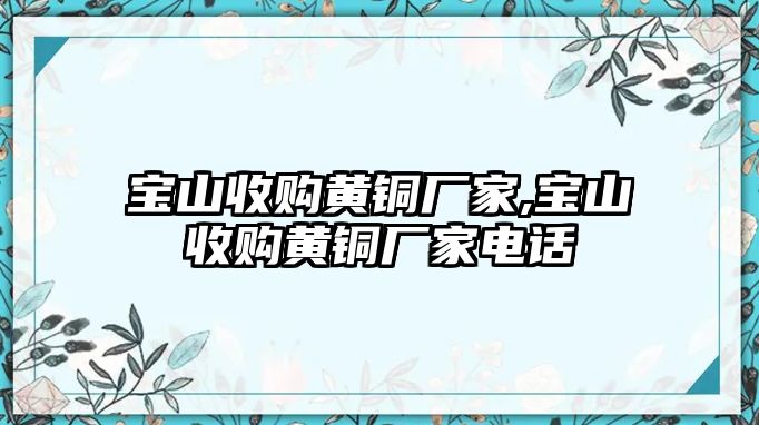 寶山收購(gòu)黃銅廠家,寶山收購(gòu)黃銅廠家電話