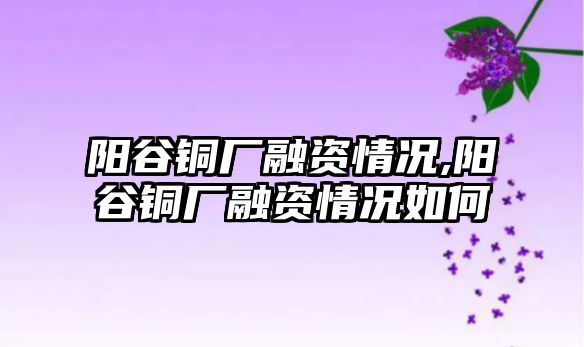 陽谷銅廠融資情況,陽谷銅廠融資情況如何