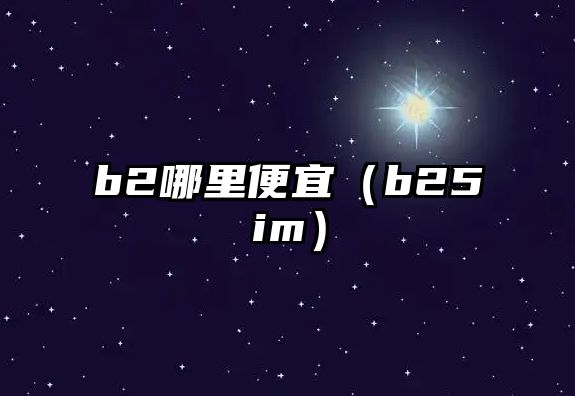 b2哪里便宜（b25im）