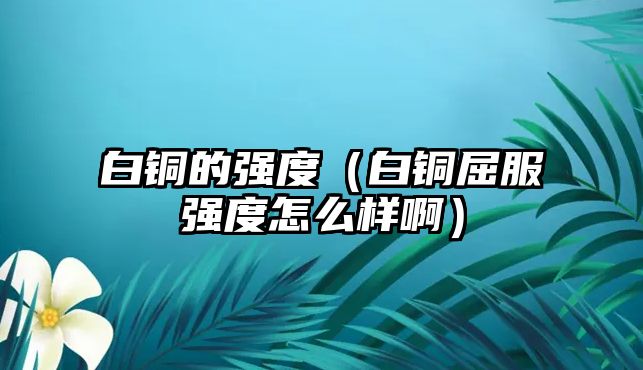 白銅的強(qiáng)度（白銅屈服強(qiáng)度怎么樣?。? class=