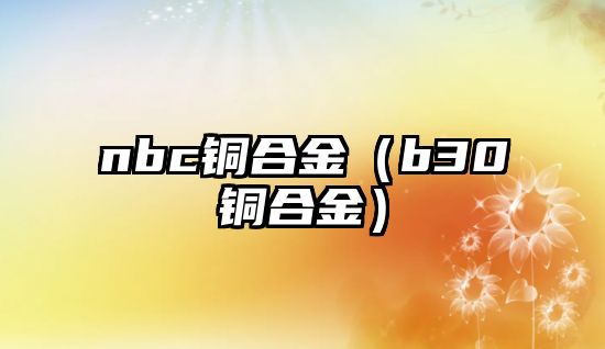 nbc銅合金（b30銅合金）