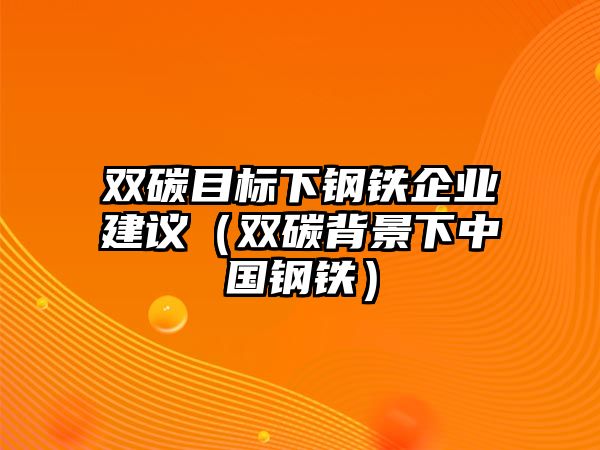 雙碳目標下鋼鐵企業(yè)建議（雙碳背景下中國鋼鐵）