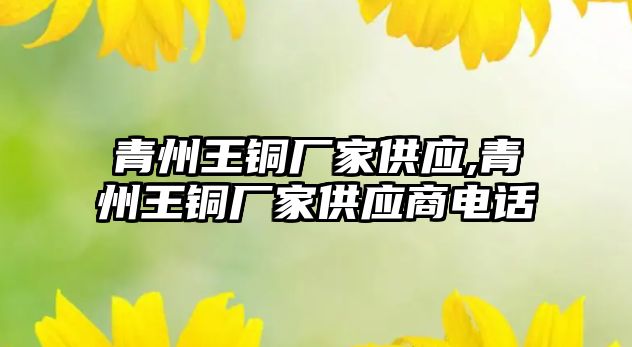 青州王銅廠家供應,青州王銅廠家供應商電話