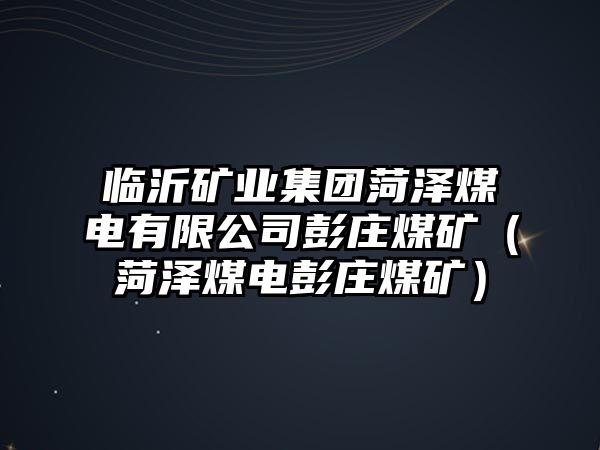 臨沂礦業(yè)集團菏澤煤電有限公司彭莊煤礦（菏澤煤電彭莊煤礦）