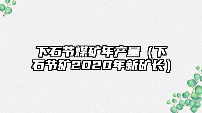 下石節(jié)煤礦年產(chǎn)量（下石節(jié)礦2020年新礦長）