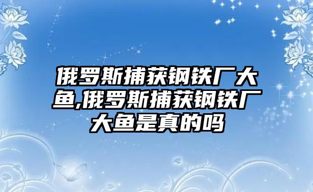 俄羅斯捕獲鋼鐵廠大魚,俄羅斯捕獲鋼鐵廠大魚是真的嗎