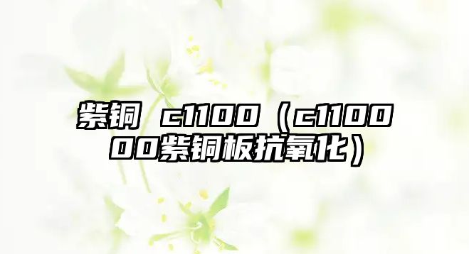 紫銅 c1100（c110000紫銅板抗氧化）