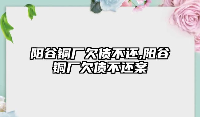 陽(yáng)谷銅廠欠債不還,陽(yáng)谷銅廠欠債不還案