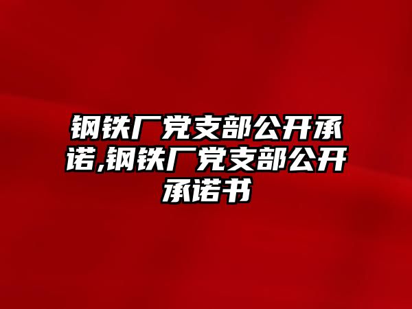 鋼鐵廠黨支部公開承諾,鋼鐵廠黨支部公開承諾書