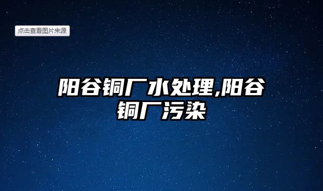 陽(yáng)谷銅廠水處理,陽(yáng)谷銅廠污染