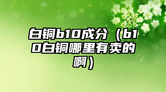 白銅b10成分（b10白銅哪里有賣的?。? class=